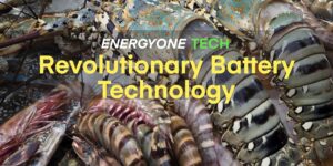 A collection of lobsters and shrimp overlaid with text promoting "energyone tech revolutionary battery technology.