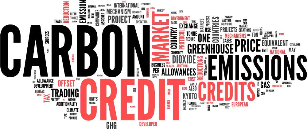 A word cloud highlighting "Carbon Credit" and "Emissions" in bold red and black text, surrounded by related words like "Market," "Offsets," and "Reductions.